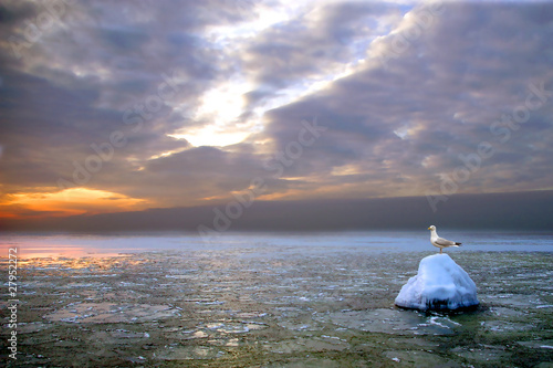 Baltic sea in winter photo