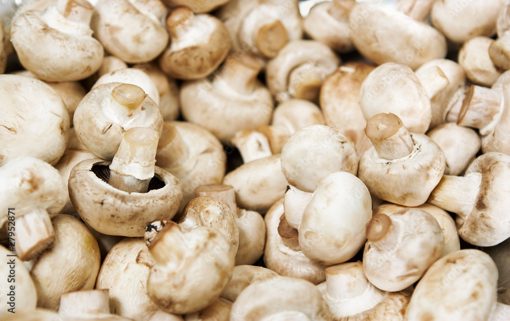 Field mushrooms Field mushrooms