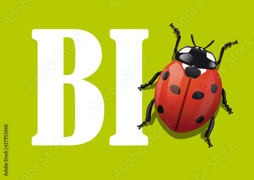 Coccinelle_Bio