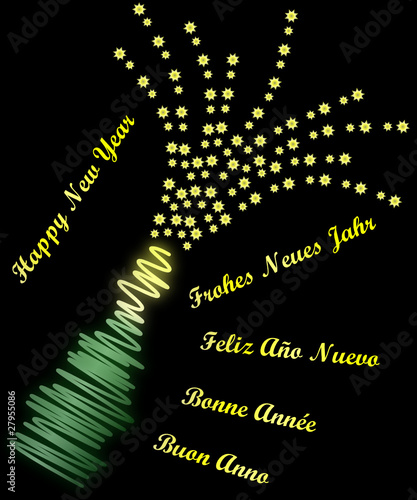 Fiesta - Año Nuevo