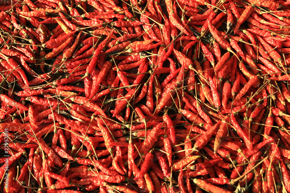 Naklejka premium Dried red chilies