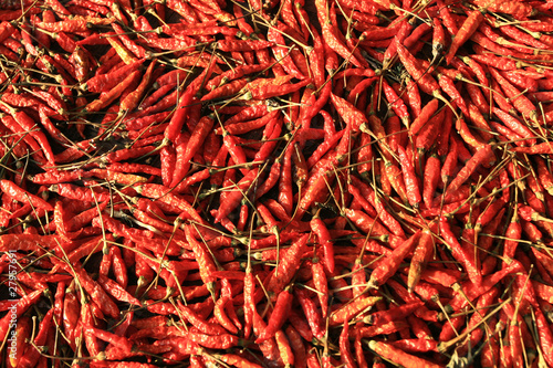 Canvas Print Dried red chilies