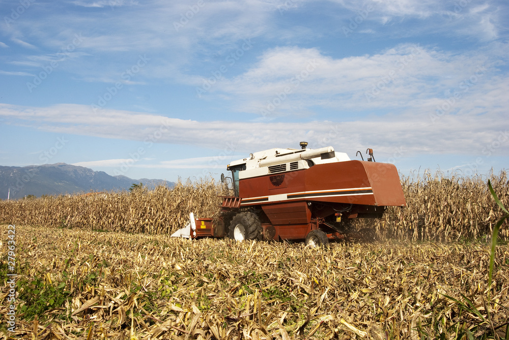 Naklejka premium Mietitrebbia