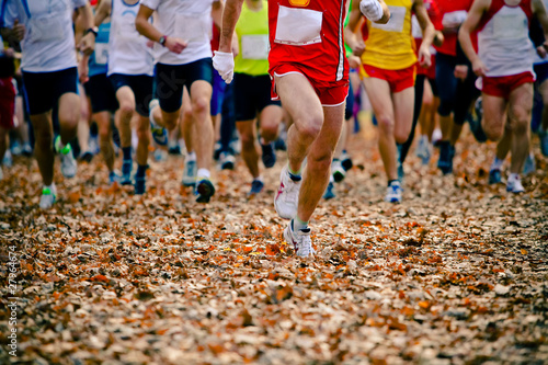 People running in the autumn race