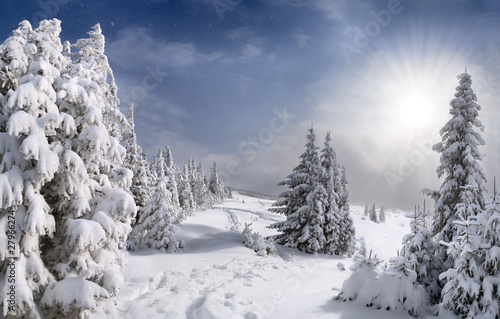 Beautiful winter landscape in the Carpathian mountains © Andrew Mayovskyy