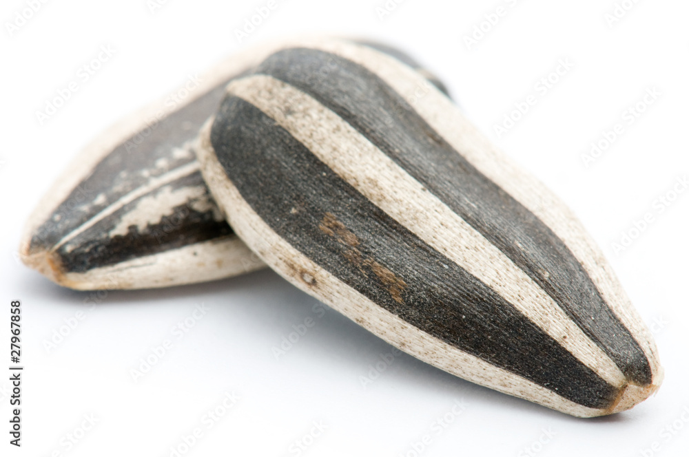 Sunflower seeds, macro over white with shallow depth of field. Sunflower seeds, macro over white with shallow depth of field.