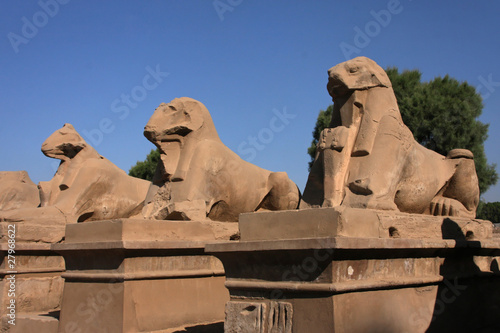 Allée des sphinx à Karnak © Pierre-Jean DURIEU