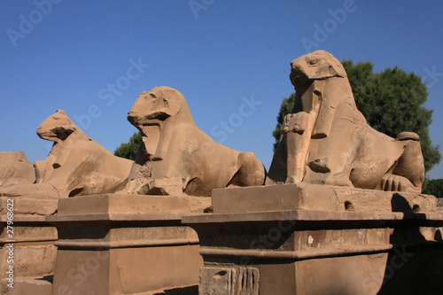 Allée des sphinx à Karnak photo