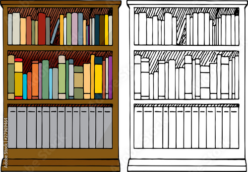 A Full Bookshelf