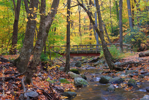 Autumn wood bridge in yellow maple forest