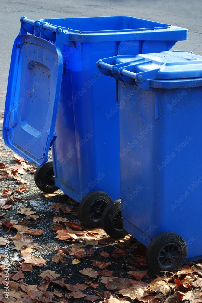 Blue garbage cans on the side of the road