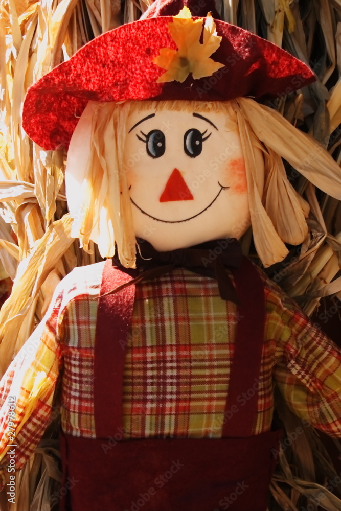 Obraz premium Pumpkin Patch Doll at the farm