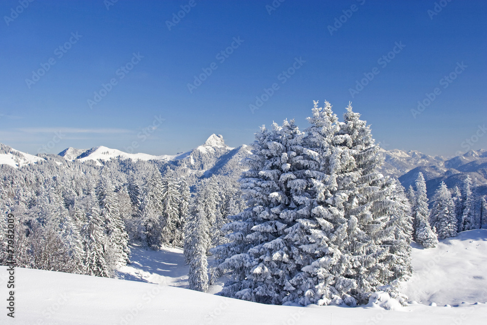 Winter im Isarwinkel