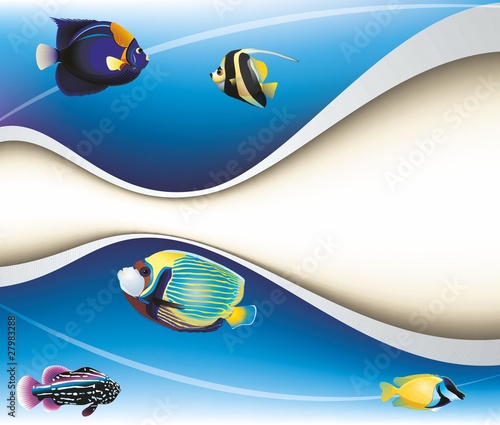 peces