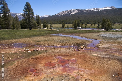 The amazing colours of Soda Springs, Yosemite National Park
