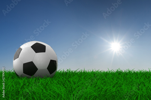 soccer ball on grass. 3D image