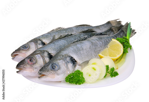 Wolfsbarsch - seabass 01