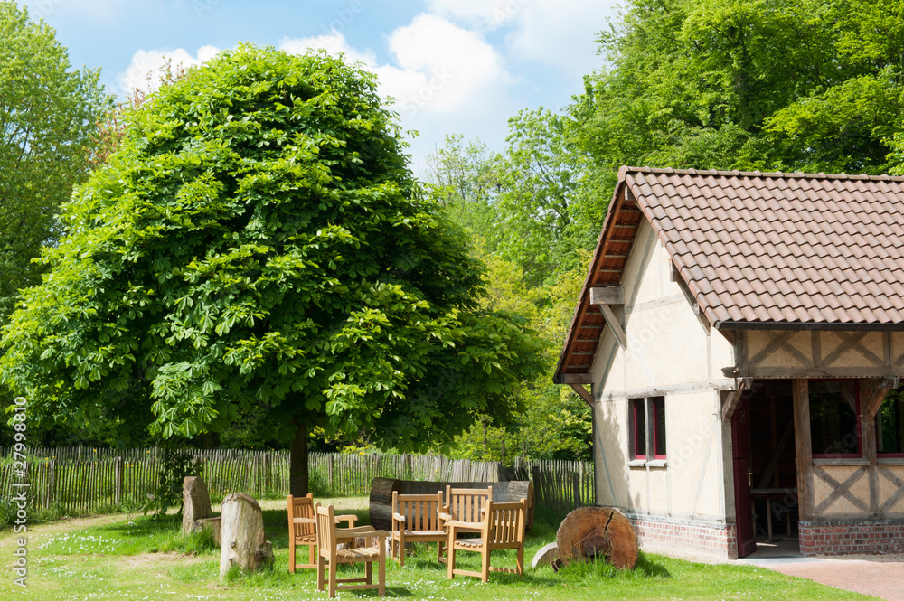 Obraz premium Rest place in the forest