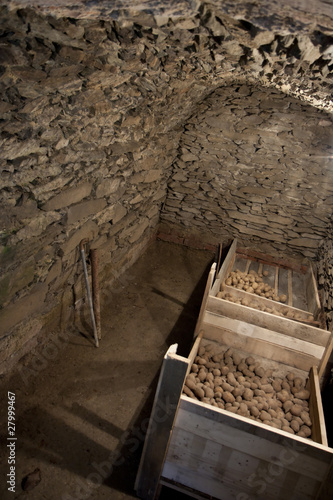 Vegetable cellar