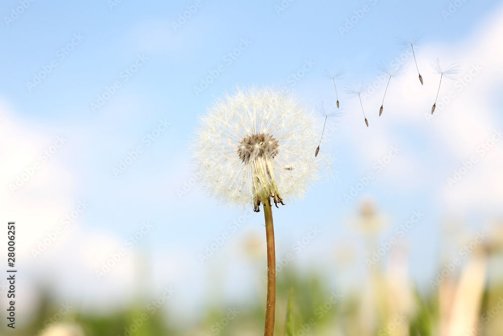 Obraz premium Naturschauspiel