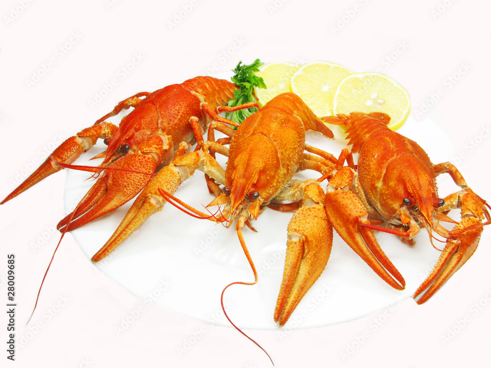 red river lobsters on plate with lemon red river lobsters on plate with lemon