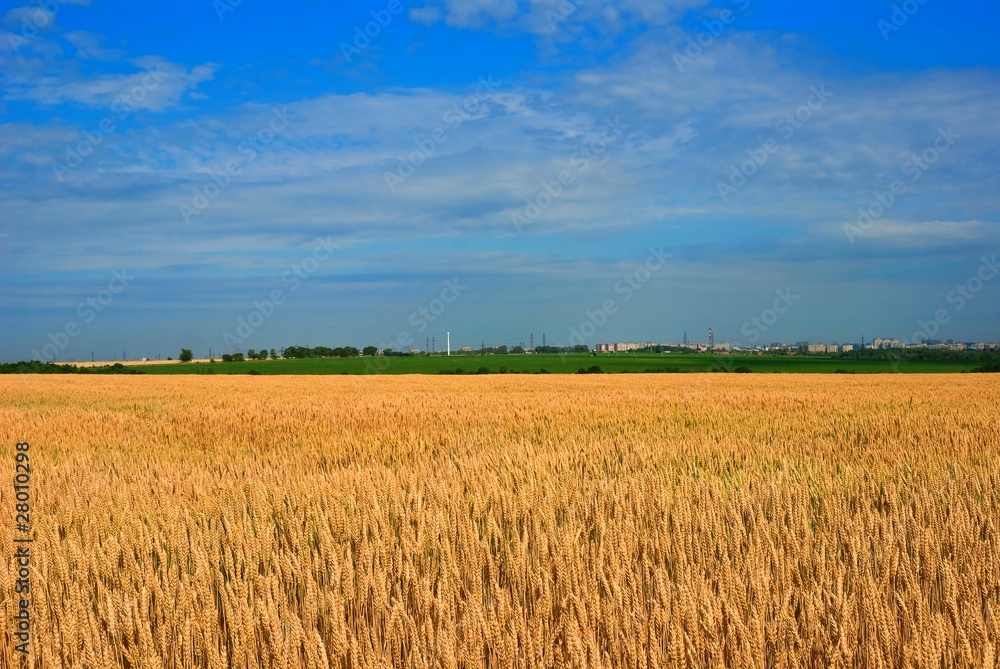 beautiful rural landscape