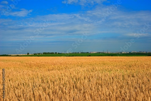 beautiful rural landscape