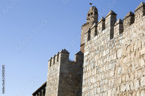 Stork on the Avila medieval city walls - Spain