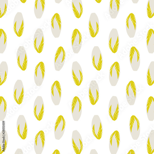 Photos endive
