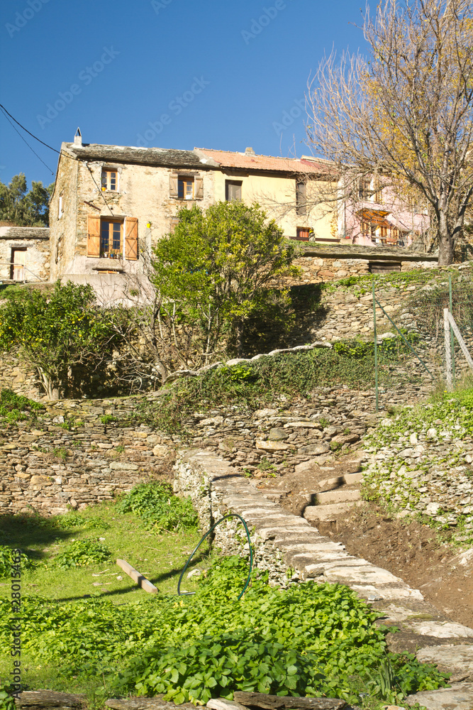 maison de village du cap corse (pietracorbara)
