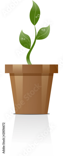 Planta que crece