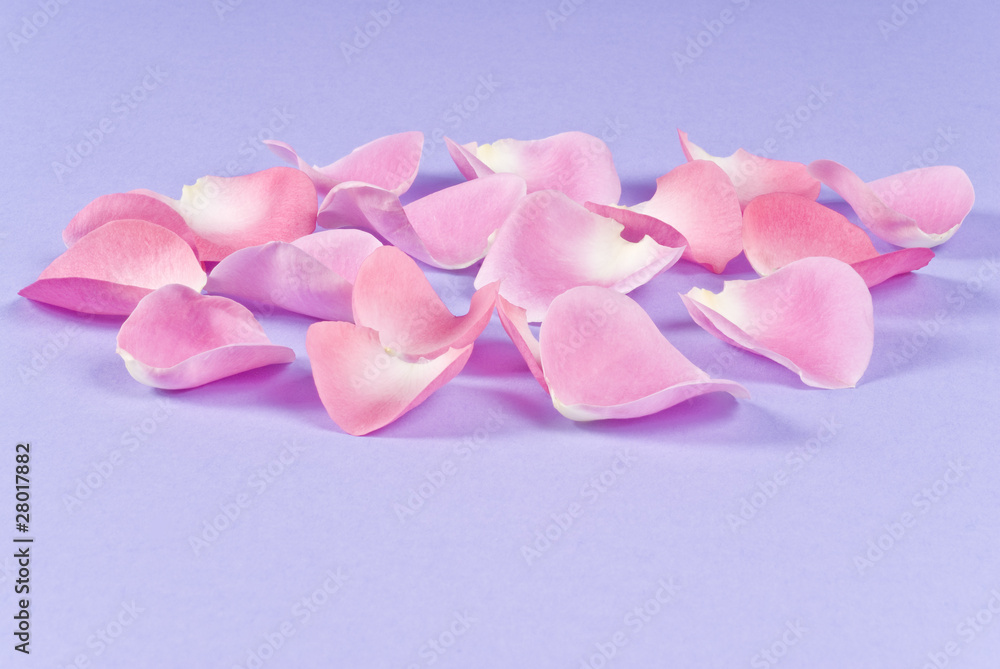 Pink Rose Pedals