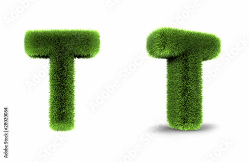 Grass Letter T