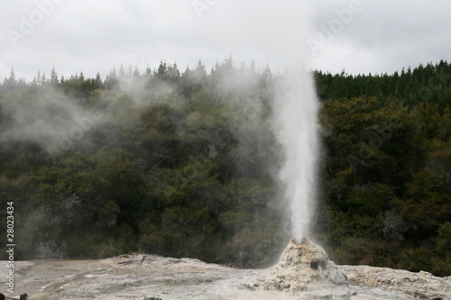 Erupting Geyser Landscape