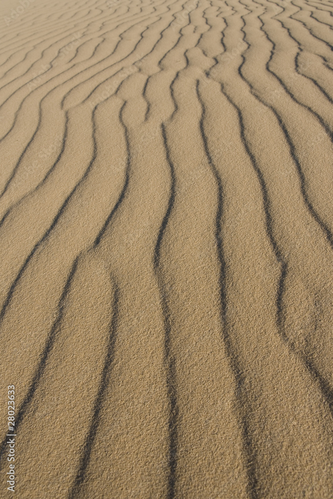 Fototapeta premium Sand Abstract