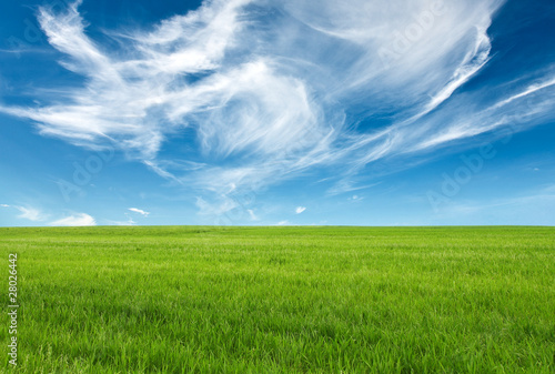 blue sky and green grass for successful advertisemen