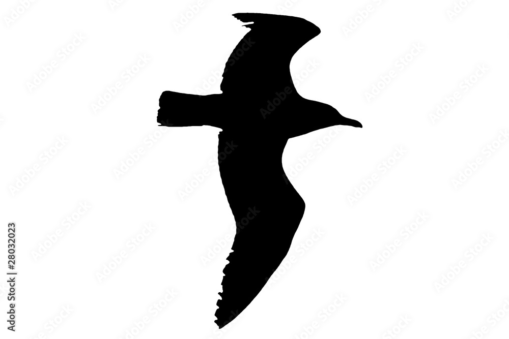 Naklejka premium seagull silhouette