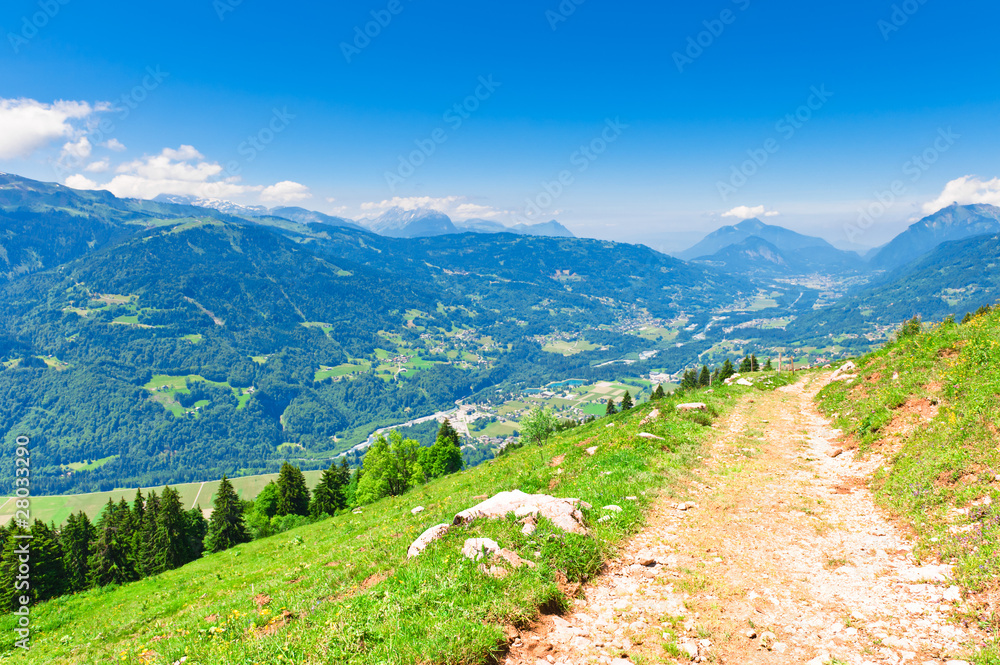 Naklejka premium Mountain trail on green slope under blue sky. French Apls