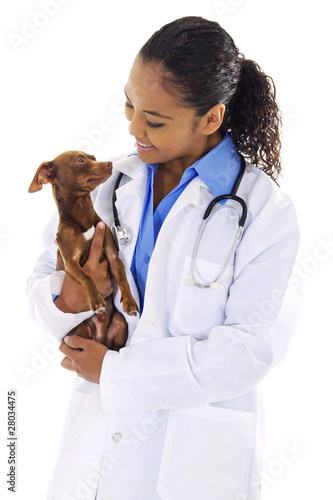 Veterinarian