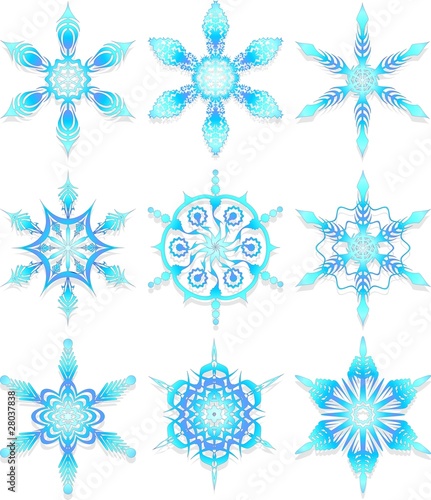 Cristalli di Neve-Snowflakes Crystals-Vector