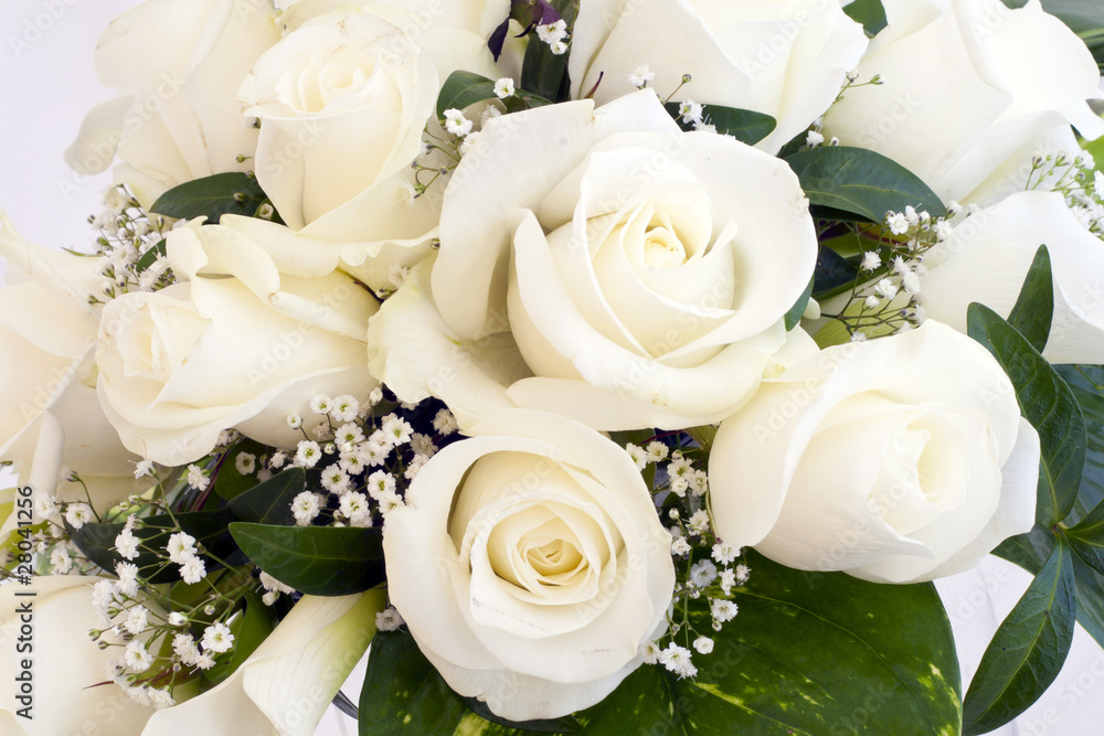 Obraz premium White roses