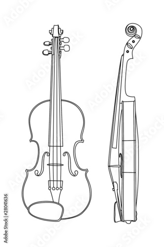 Vector illustration of violin