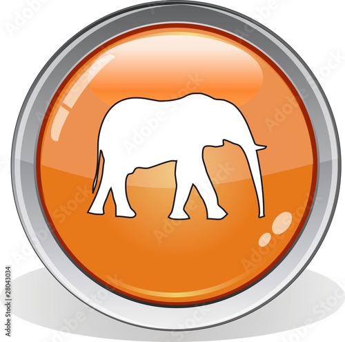bouton éléphant