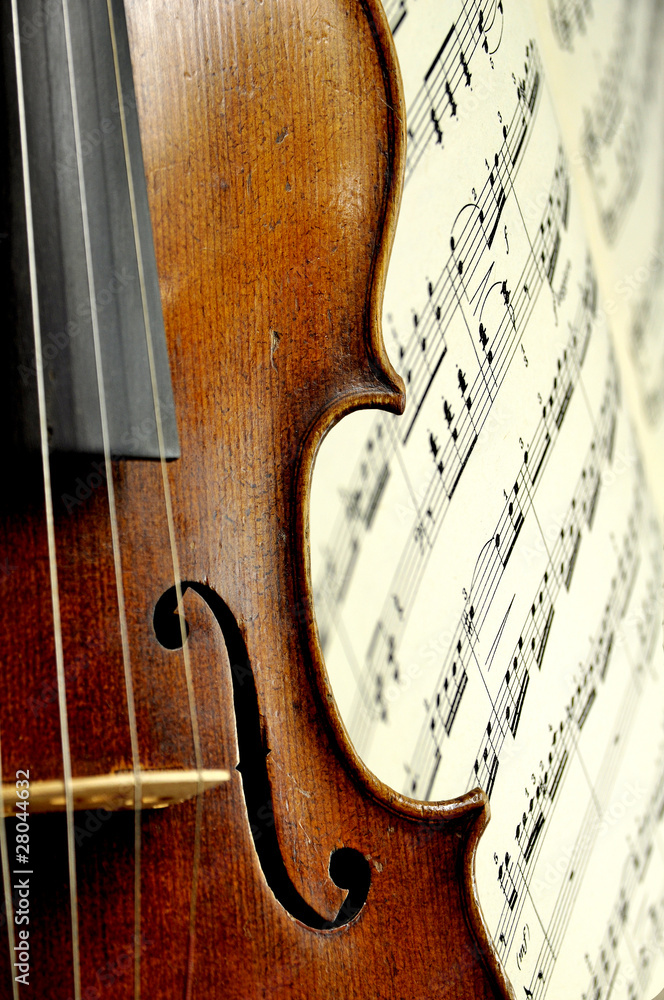 Fototapeta premium skrzypce