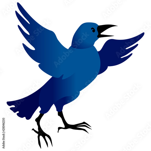 Croaking raven
