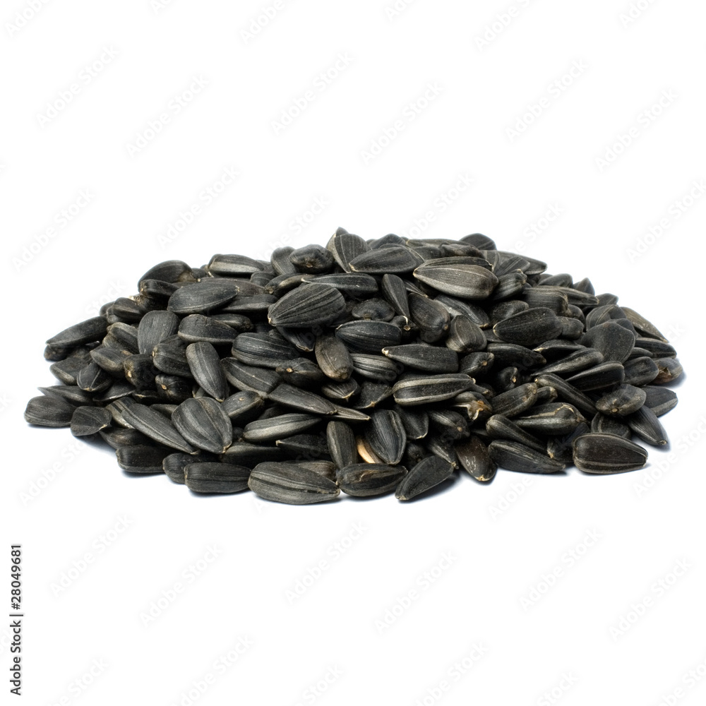 Sunflower seed on white background Sunflower seed on white background