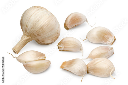 Garlic vegetable isolated on white background