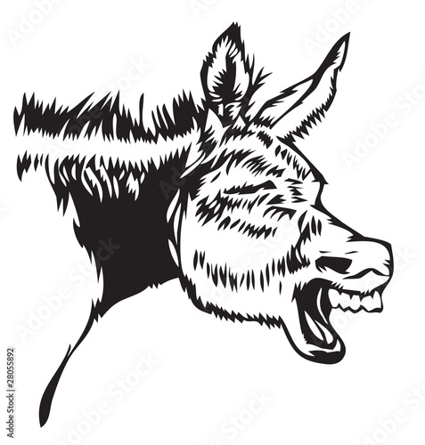 laughing donkey
