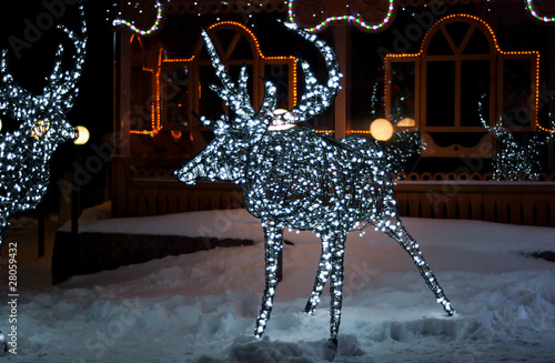deer from the wires