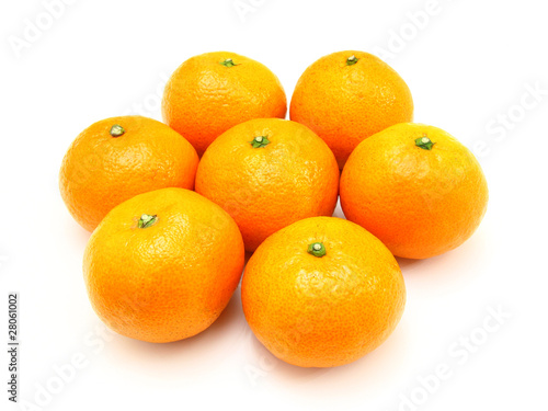 Group a tangerine